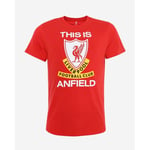 Liverpool FC T-Shirt This Is Anfield - Röd adult S22TR19