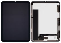 iPad Mini 6 - Display och Glasbyte