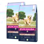 Eukanuba Dog Senior Large Breed Lamb & Rice  2 x 12kg