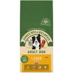 James Wellbeloved Adult Maintenance Lamb & Rice Dog Food | Dogs