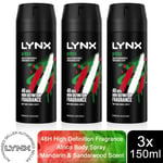 Lynx Body Spray Africa 48-H High Definition Fragrance Deo For Men, 3x150ml