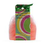 Body Wash Shower Gel Pure Essential Oils Pocket Full of Rainbows Shower Soap