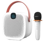 Bärbar Karaoke Partyhögtalare, Trådlös Mikrofon, Bluetooth 50, 30W Kraftfullt Ljud, Endast en mikrofon