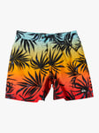 Quiksilver Kids' Everyday Collection Mix Volley Swim Shorts