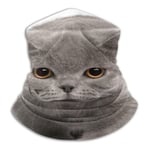 Custom made British Shorthair Kitten Months Old Shields Anti-Dust Windproof Cover Face Protect Cover Adjustable Balaclavas