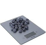 Taylor Pro Digital Kitchen Food Scales with Ultra Thin Design, Compact Professional Standard Tare Feature with Precision Accuracy, Pewter Glass, Weighs 5 kg Capacity