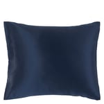Lenoites Mulberry Silk Pillowcase Blue 50x60cm