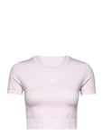 Aeroknit Seamless Fitted Cropped Tee W Sport Crop Tops Short-sleeved Crop Tops Pink Adidas Performance