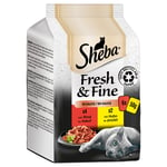 Sheba Fresh & Fine -säästöpakkaus 72 x 50 g - valikoidut herkkureseptit kastikkeessa