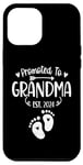 iPhone 13 Pro Max Promoted To Grandma Est 2024 New Grandma Women Grandmother Case