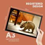 A3 Glass Frame - Baby Wombat Australia Animal Art Gift #2296