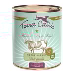 Ekonomipack: Terra Canis Grain Free 12 x 800 g - Nötkött med zucchini, pumpa & oregano