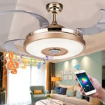 HJCC Intelligent Ceiling Fan Light 36 Inches, Bluetooth Speaker Music Player Chandelier Invisible Blade with Remote Control Function