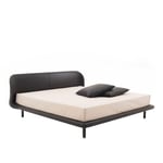 Cappellini - PegBed,MassiveFir/PoplarPlywood/MetalFrameStruct., Br: 204 cm, Fixed Fabric Cat. E, Master 4900, Walnut-Stained Ash Base Finish, Excl. Matress