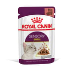 Royal Canin Sensory Smell i saus - 48 x 85 g