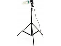 Massa Studiolampa 65W + Stativ