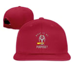 Pinakoli Unisex Shamrocks and Shenanigans Snapback Hats Casual Adjustable Baseball Cap Hip Hop Trucker 100% Cotton Flat Bill Ball Hat Run Hat