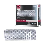 Paulmann 79859 LED MaxLED 250 5 m LumiÃšre du Jour IP20 INCL 1x20 Watts Strip Bande Lumineuse 6500 K, MatiÃšre Plastique, 19 W, Argent
