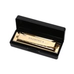 10-håls munspel Munorgan Pussel Musikinstrument Början Gold One Size