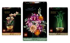LEGO Botanical Collection January 2025 Launch Bundle