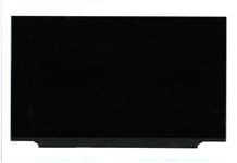 Lenovon LCD-paneeli 17,3" FHD IPS