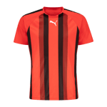 teamLIGA Striped Jersey, träningströja herr