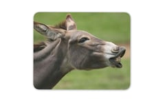 Funny Donkey Mouse Mat Pad - Horse Animal Cheeky Kids Cool Computer Gift #15497