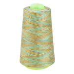 2988 Yards Gradient Rainbow Colour Polyester Cotton Sewing Threads for Sewing Machine Overlocking Hand Sewing Quilting Stitching Embroidery Threads (Green)