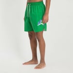 MENS NIKE JORDAN JUMPMAN POOLSIDE SHORTS SIZE L (CZ8522 353) GREEN