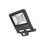 Ledvance Endura flood sensor cool white 50 W 4000K Mörkgrå
