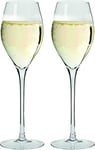 Maxwell & Williams Vino Prosecco Glass Set, Glass, 280 ml, Set of 2 Small Wine Glasses in Gift Box