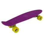22" Retro Mini Skateboard Purple
