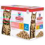 Hill's Science Plan Adult Light Chicken -- Komplettering: Hill's Science Plan Adult Light 12 x 85 g Fish Selection