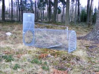 Lotin Grävlingfälla, monterad -