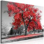 Billede - Autumn in the Park (1 Part) Wide Red - 30 x 20 cm - På italiensk lærred
