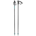 HEAD Unisex Adult Multi Black Speed Blue Ski Poles, Black, 110 cm