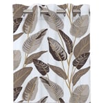 Redlunds Wille Öljettlängd Beige