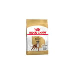 Nourriture que Royal Canin Boxer adulte chien adulte et mature (љ partir de 15 mois) - 12kg