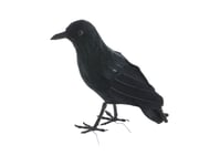 Ravn 23 Cm