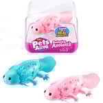 Pets Alive - Swimming Axolotl (9556UQ1)