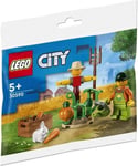LEGO 30590 Farm Garden & Scarecrow Polybag 