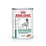 Royal Canin Veterinary Diets Dog Weight Management Diabetic Special Low Carbohydrate Loaf Våtfoder för hund 410 g