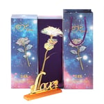 MOSNOW Valentine's Day Colorful Galaxy Rose, Forever Rose Flower with Delicate Box and Gift Bag, Infinity Rose Gift for Girlfriend Wife Mum on Valentine's Day Mother's Day Birthday Anniversary