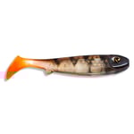 FLATNOSE MINI 10-PACK