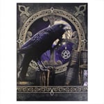 Lisa Parker Talisman Raven Canvas Large Flerfärgade