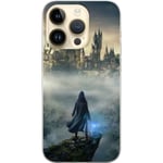 Apple iPhone 14 Pro Cover / Mobilcover - Hogwarts Legacy