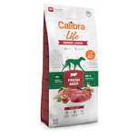 Calibra Life Senior Large Breed med färskt nötkött -  Ekonomipack: 2 x 12 kg