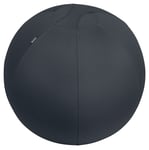 Leitz - Ergo Balance ball anti-roll away 65cm - Dark grey
