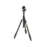 3 Legged Thing Patti 2.0 Flip Lock Tripod with AirHed Mini Darkness