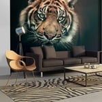 Arkiio Fototapet Bengal Tiger A3-LFTNT0741-A